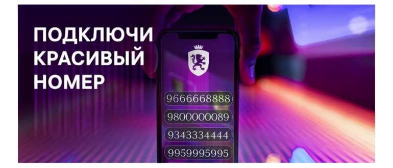 Вам необходимо осуществить обход ограничений на