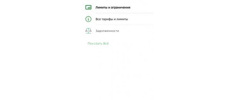 Защита карты Сбербанка от