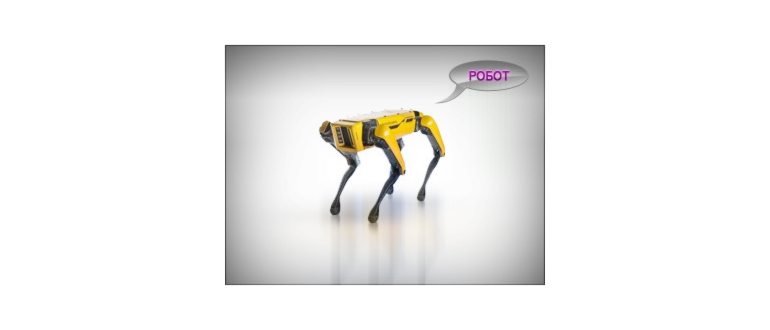 Robot